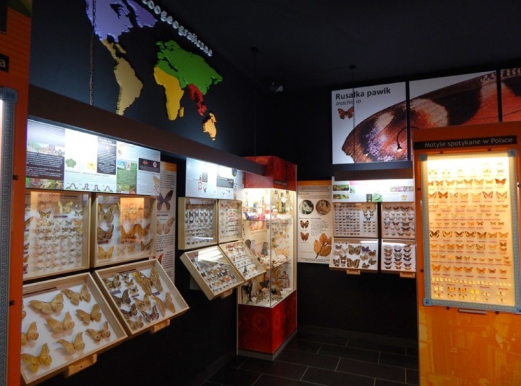 Muzeum Motyli  