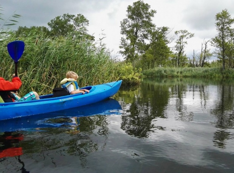 Kajaki Dębki Piaśnicą do morza