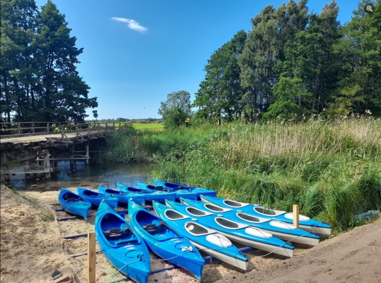 Kajaki Dębki Piaśnicą do morza