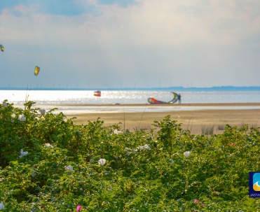 Kitesurfing w Jastarni i okolicy Kuźnicy.