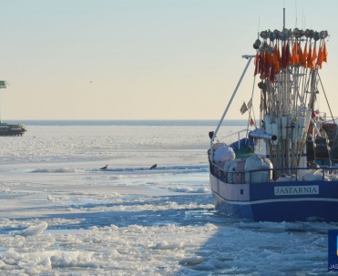 Zimą świeże ryby prosto z kutra są najwyższej jakości.
